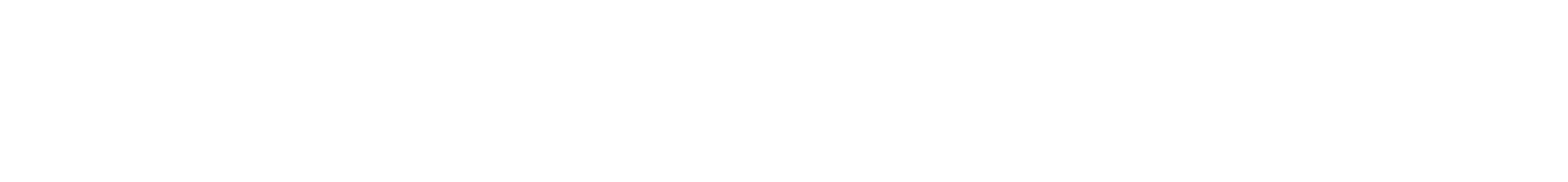 Logo Full Length White